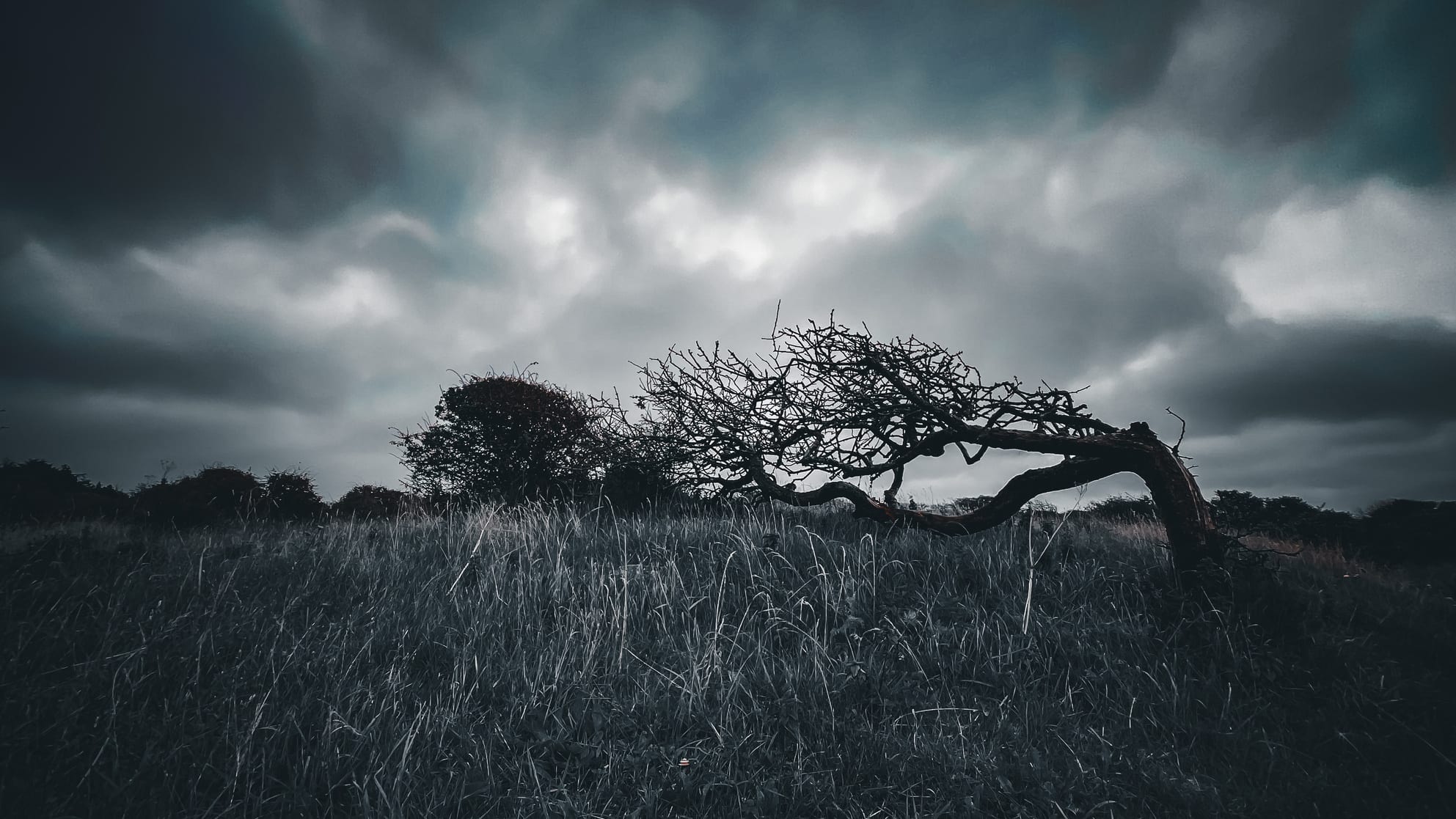 Mental Edge Mondays: Rethinking Trigger Warnings