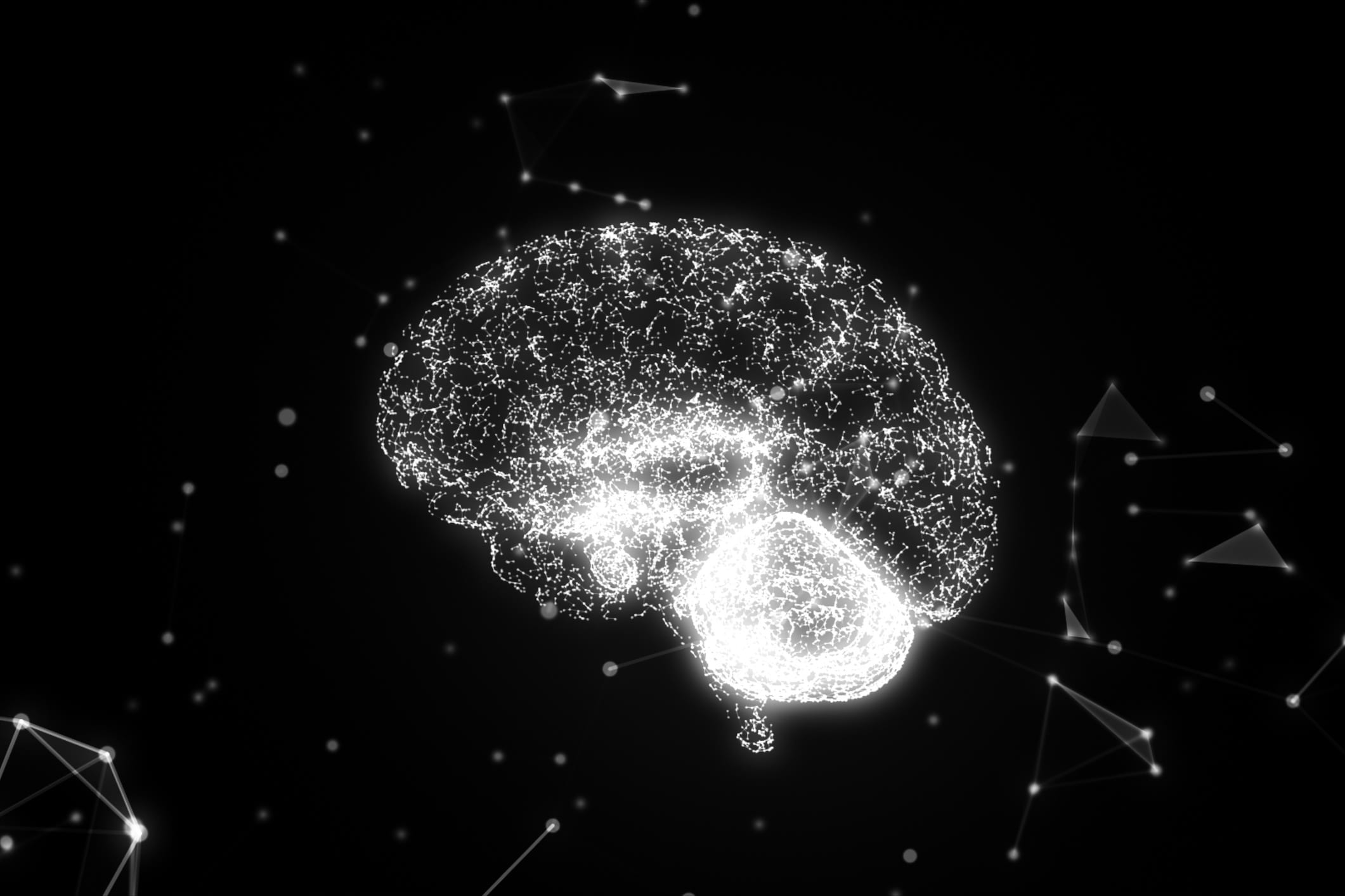 Neurochemistry For The Tactical Athlete
