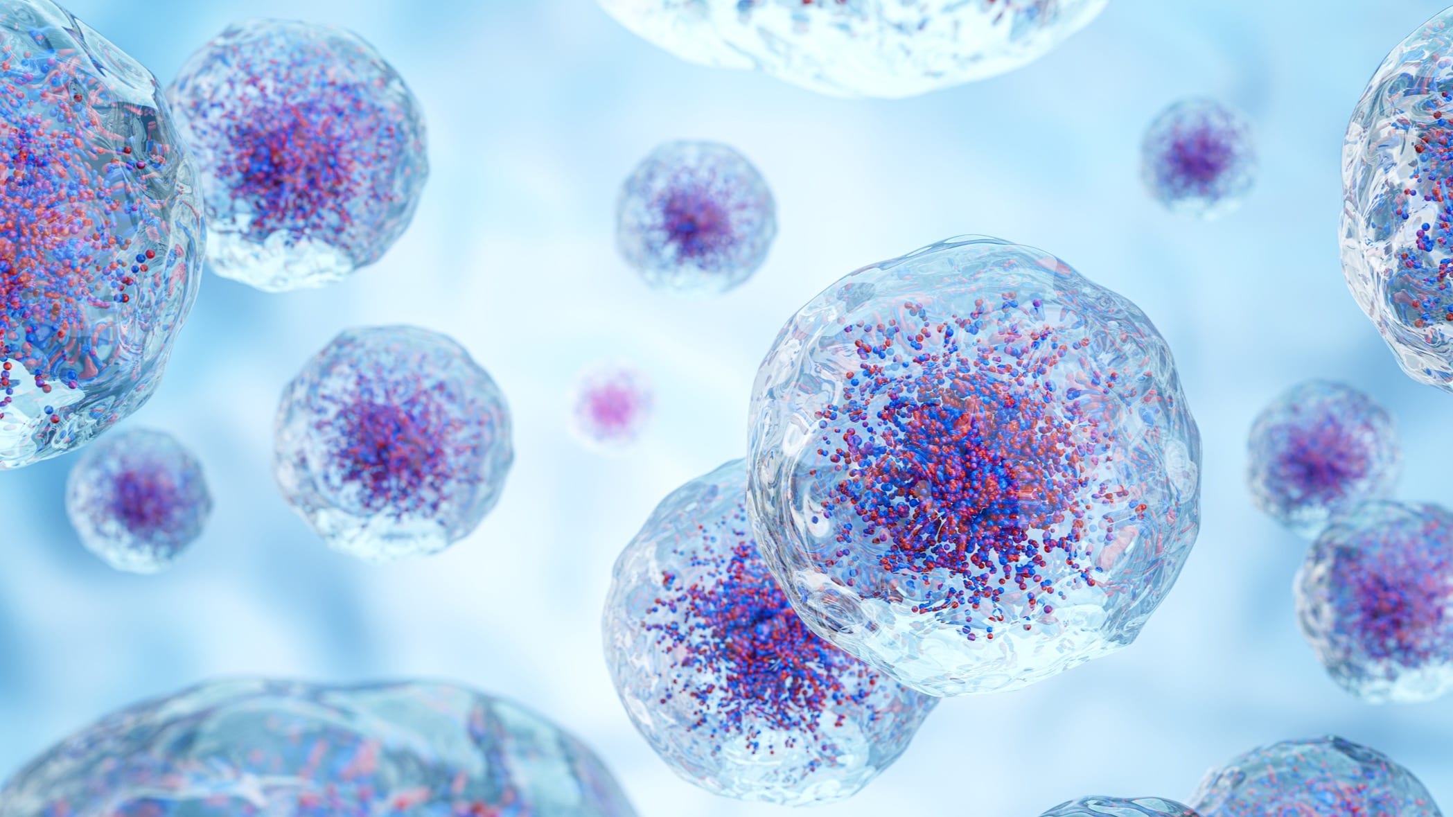 New Anticancer Therapies