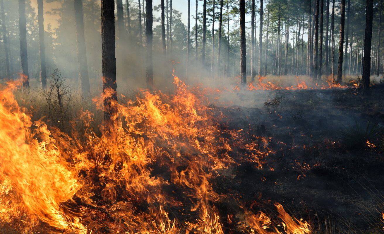 The Effect of Radiant Heat on Firefighter's Skin